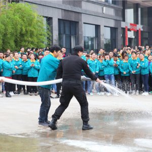 案例展示