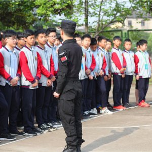案例展示