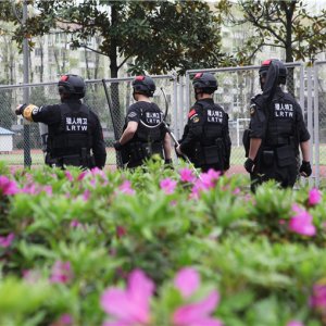 企业风采
